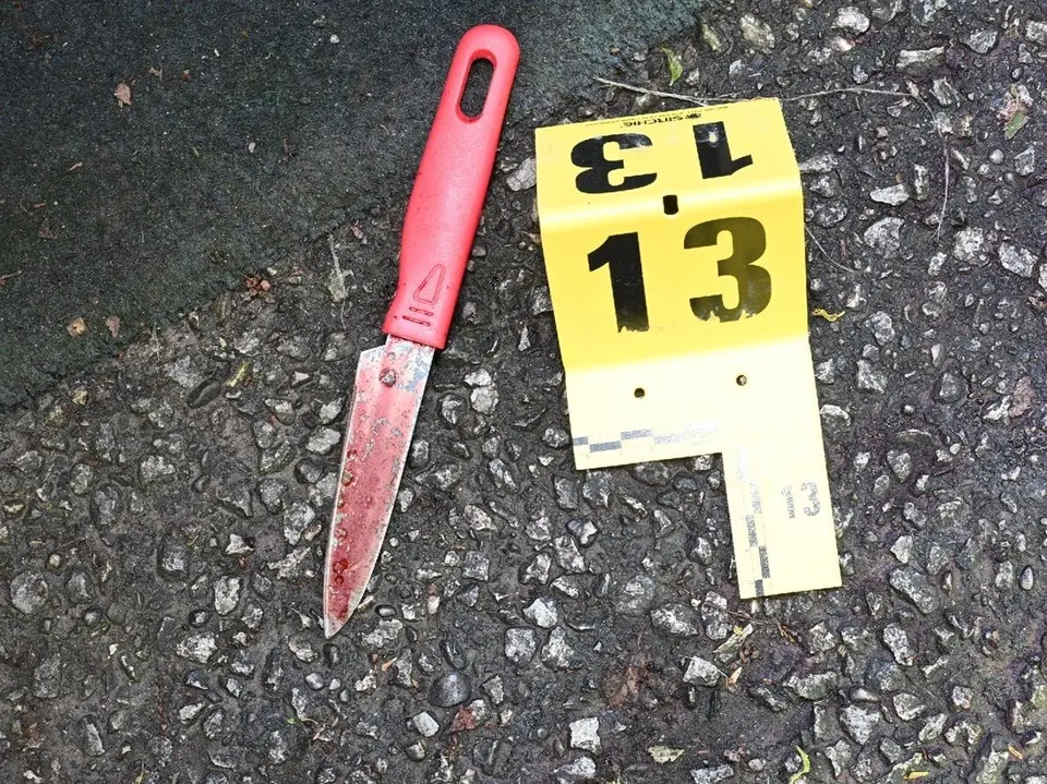 Toronto man pleads guilty to stabbing neighbour 42 times over gospel music