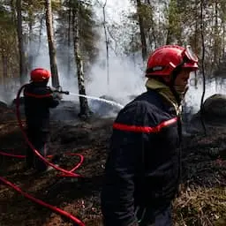 Six people arrested over Fontainebleau forest fires, including a firefighter