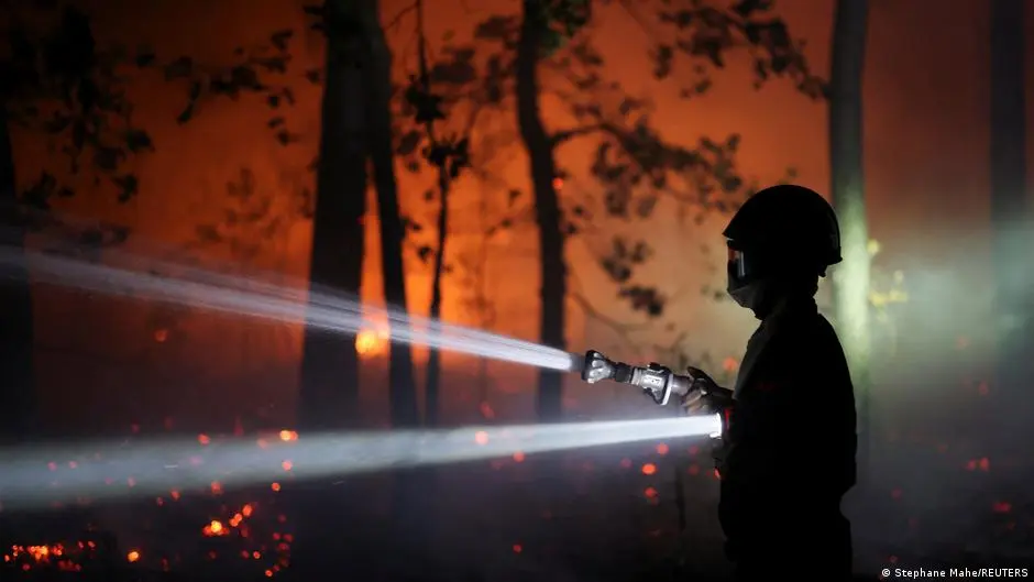 Deux suspects arrêtés pour incendie criminel dans la forêt de Fontainebleau