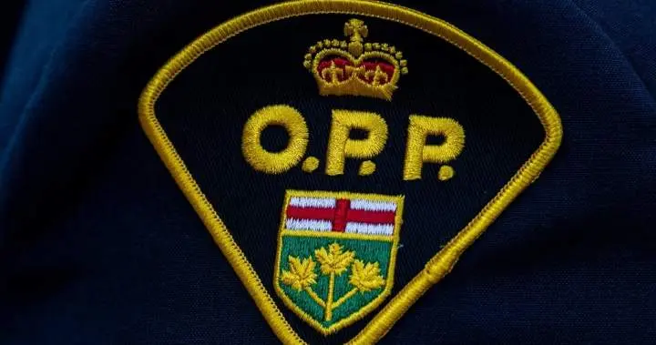 Huntsville woman charged with cheque fraud targeting 101-year-old resident