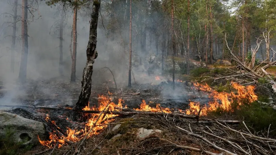 Pompier volontaire parmi les suspects des incendies de Fontainebleau