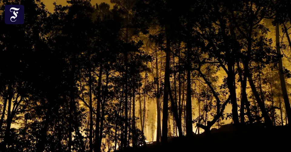 19-year-old firefighter admits to causing Fontainebleau fire