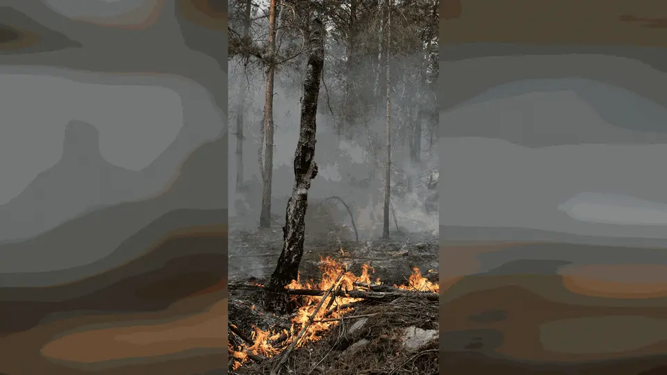 Un pompier volontaire reconnaît avoir allumé un feu à Fontainebleau