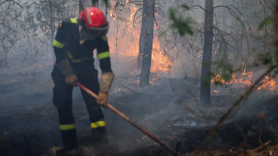 Deux suspects arrêtés pour incendies volontaires dans la forêt de Fontainebleau