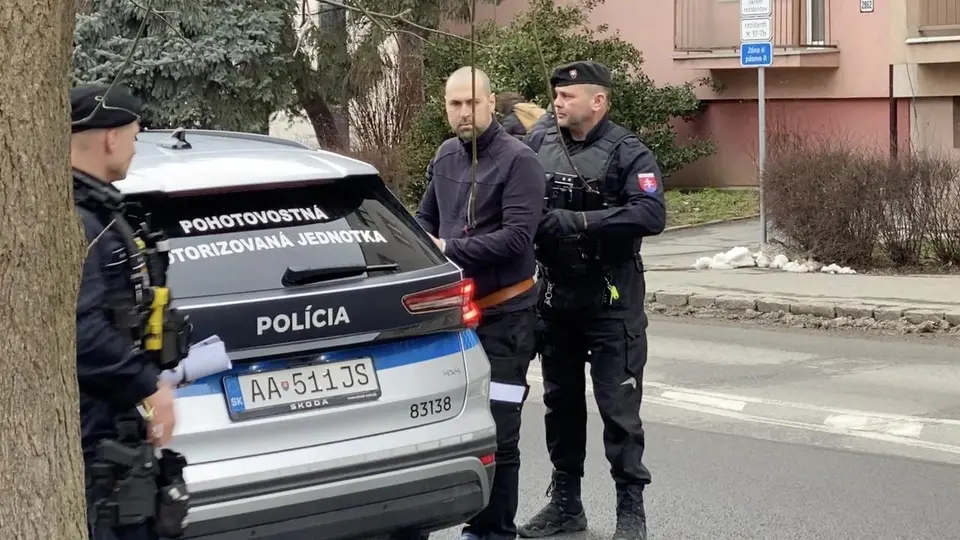 Triple murder in Vranov: accused released from custody, to end up in hospital