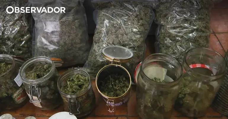 Three men arrested in Setúbal for drug trafficking remanded in custody