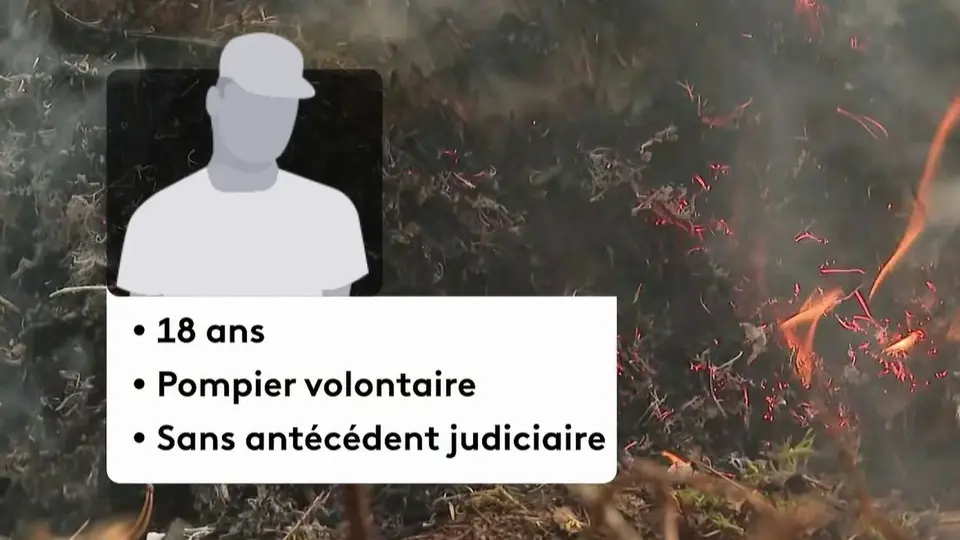 Un sapeur-pompier de 18 ans reconnaît avoir déclenché le feu de Fontainebleau