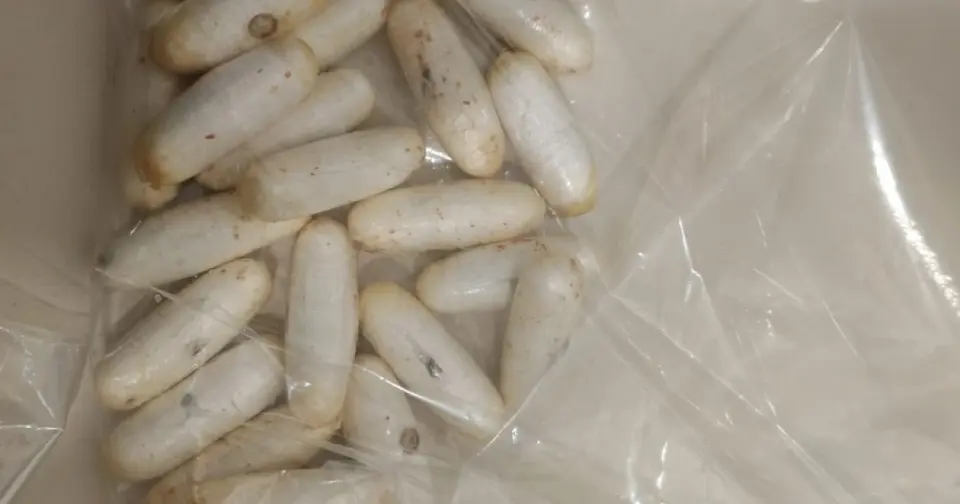 Cocaine ingested: Mozambican drug courier intercepted at Roland-Garros airport with 1.158 kg