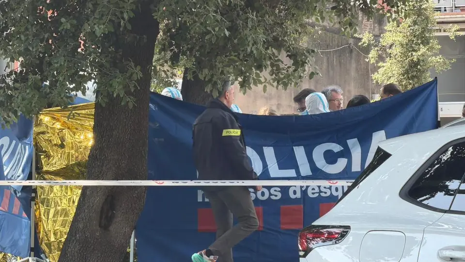 The man who murdered his ex-partner in Figueres was sentenced on Monday for assault