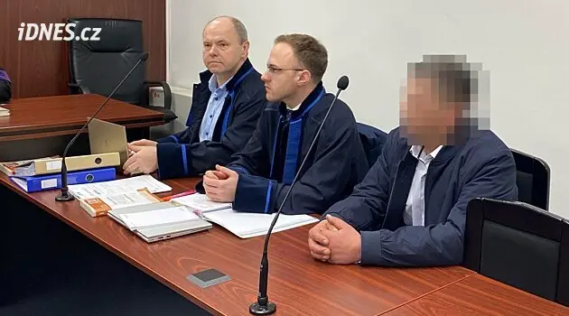 Eight years' imprisonment for two sexual attacks. Plzeň court punishes man from Klatovsko region