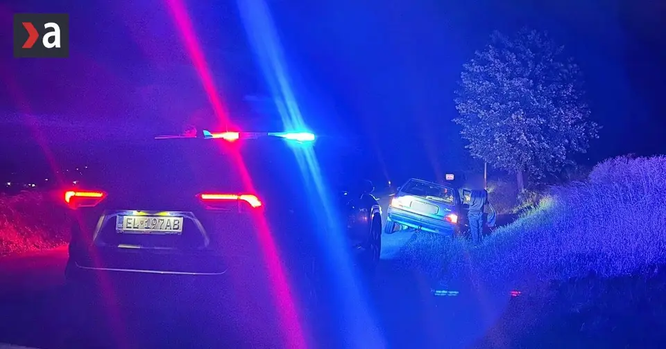 Two men without driving licences switched places at the wheel near Zlaté Moravce and ended up in a ditch