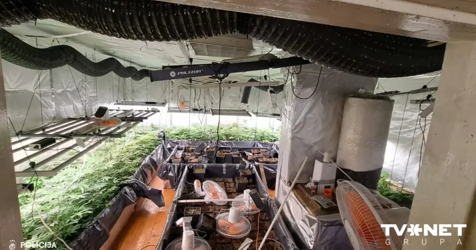 24 kg of cannabis seized in Latgale, 13 firearms recovered and four group members detained