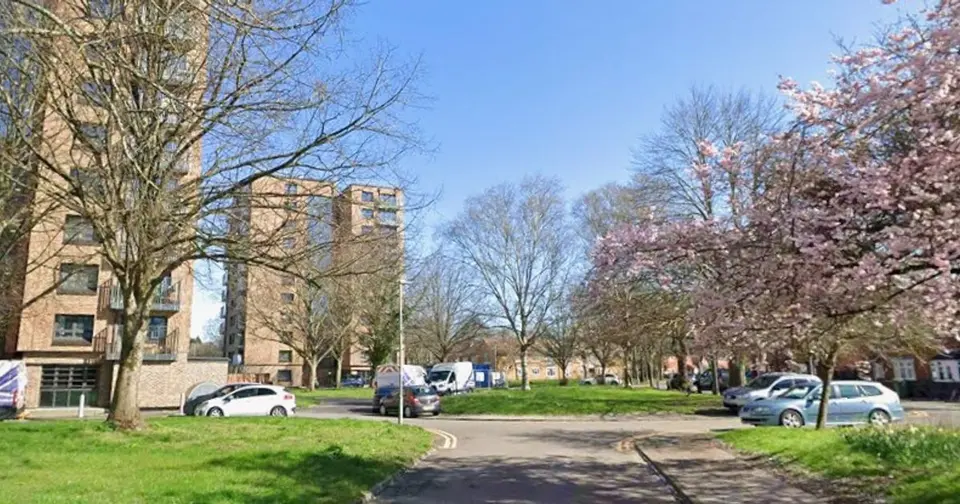 Cardiff stabbing: Teen arrested over Gabalfa park attack on two boys