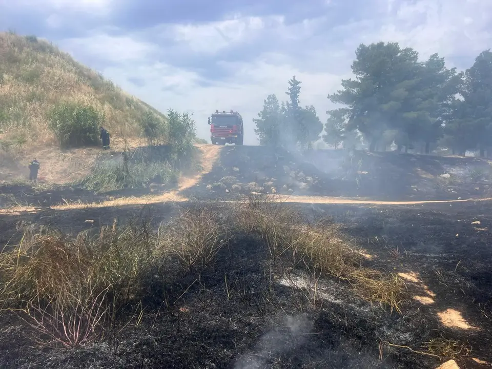 45-year-old beekeeper arrested for fire at Veiko Grove