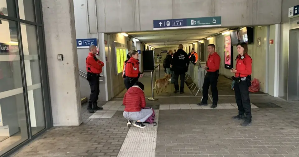 Operation "Safe Move" in Walloon Brabant: 428 checks, 12 drug seizures, two arrests