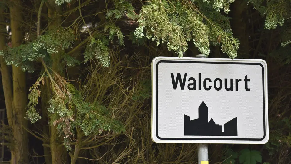 Person shot dead in Walcourt