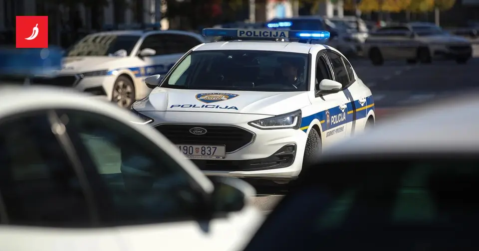 25-year-old from Sisak arrested: extorted teenager for over a year over fictitious debt