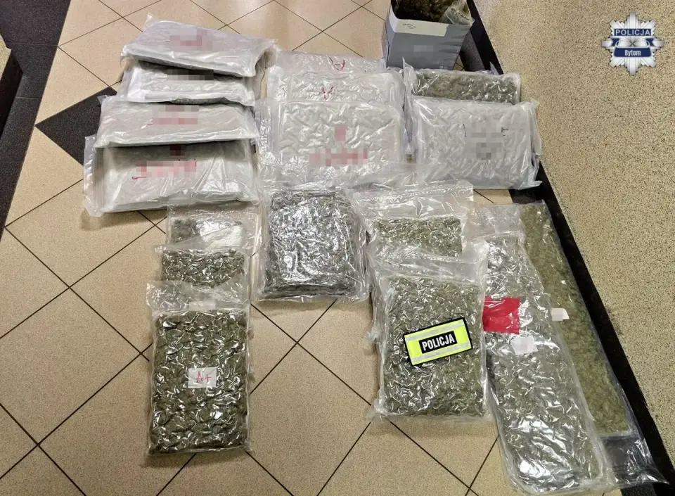 22 kg marihuany w mieszkaniu w Bytomiu – 29-latek aresztowany na dwa miesiące