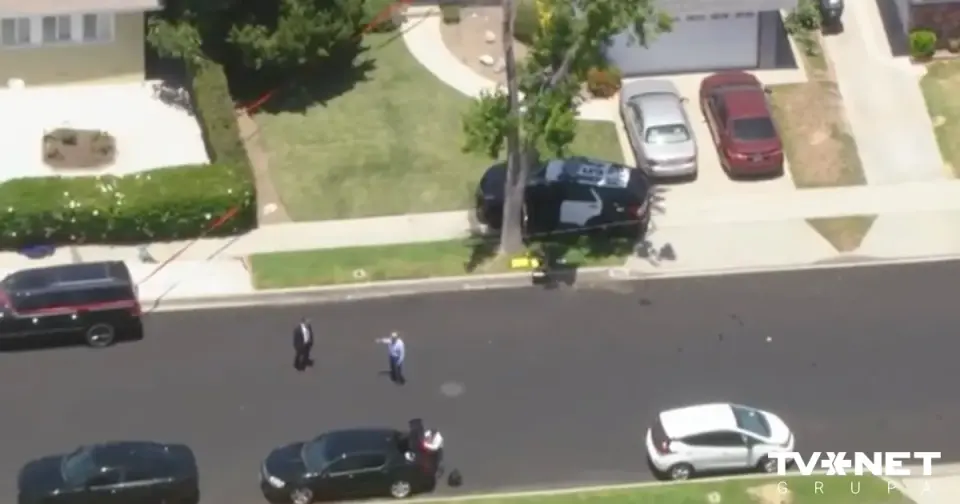 Actor James Handy Stabbed to Death at Los Angeles Home; Girlfriend's Son Arrested