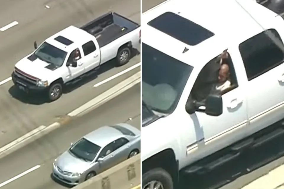 Carjacking suspect caught by K-9 after 2.5-hour chase on LA's 10 Freeway