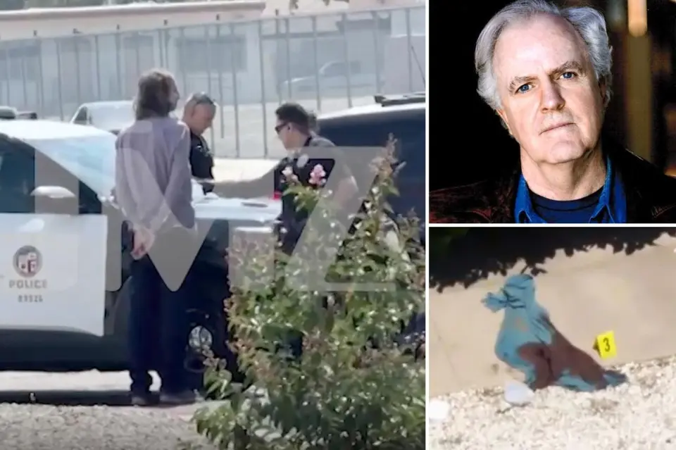 Suspect in 'Top Gun: Maverick' Actor James Handy's Stabbing Death Stands Still in Arrest Video