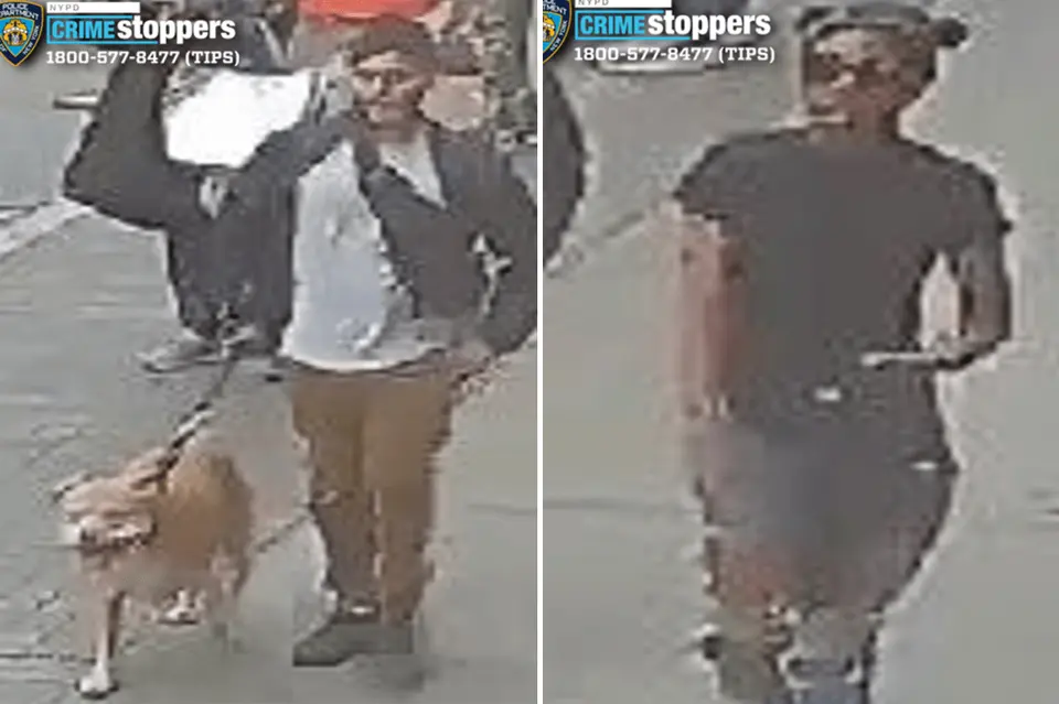 Good Samaritan Pepper-Sprayed and Slashed in Harlem After Breaking Up Dog Fight