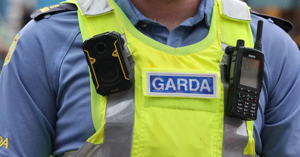 Dublin 8 pensioner feared murdered: man in his 20s arrested after month-long disappearance