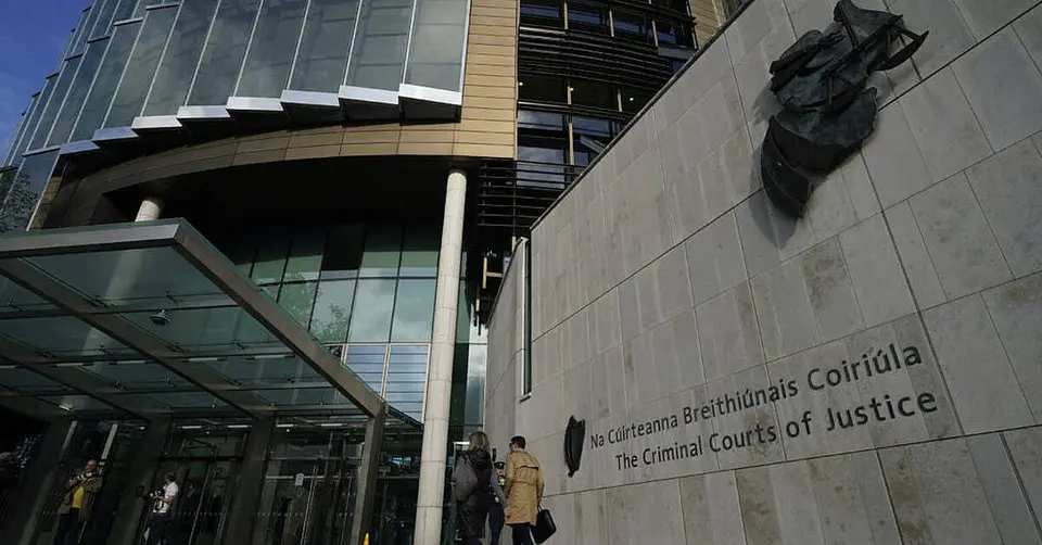 Dublin lawyer stabbed father 27 times, pleads not guilty by reason of insanity