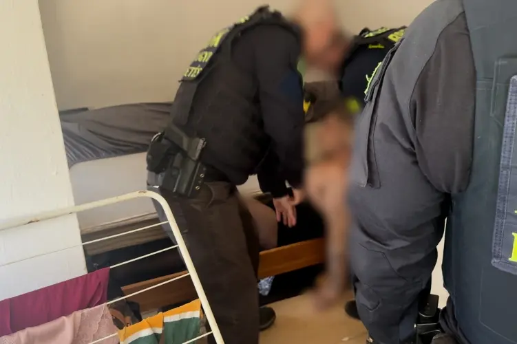 Budapest arrest operation: 183 cases closed, including top 50 wanted man captured