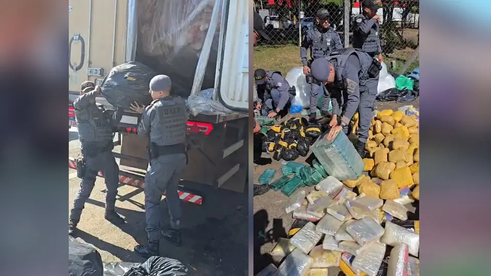Quase 500 kg de drogas encontrados em caminhão frigorífico na SP-310, em Rio Preto