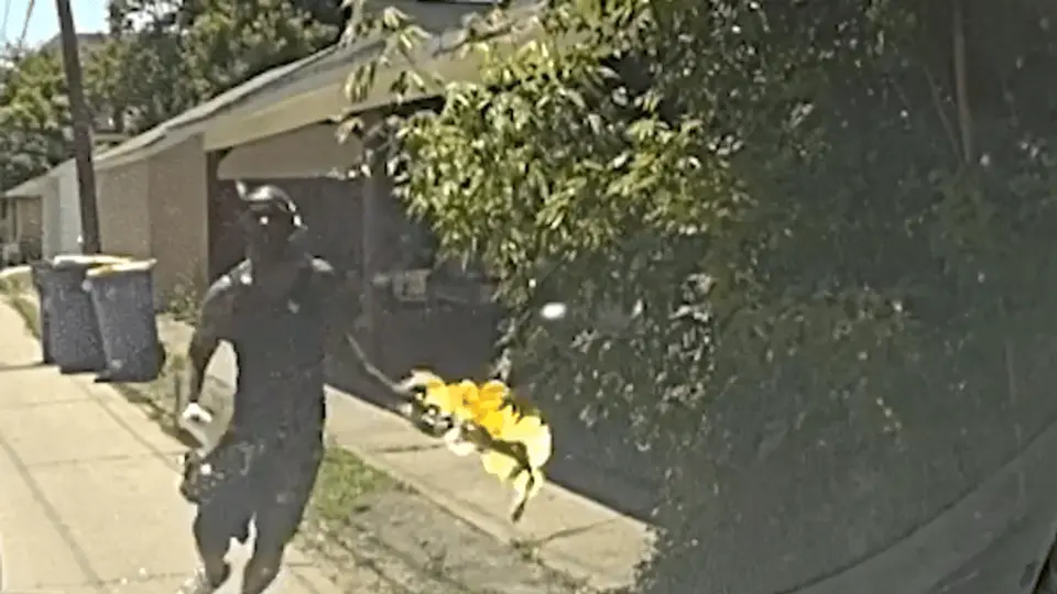 Grand Rapids man throws Molotov cocktail at police, stabs K-9 before being shot