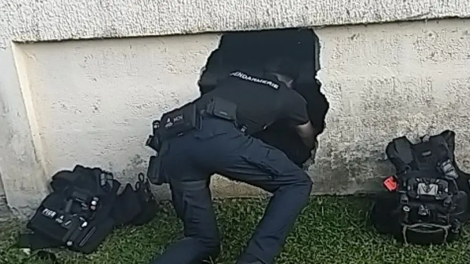 Caches de drogue découvertes à Bouillante lors d'une opération de gendarmerie
