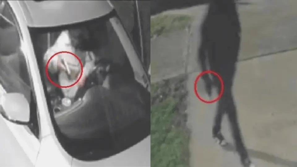 Seven firearms stolen in 20 vehicle burglaries across Georgetown neighbourhoods
