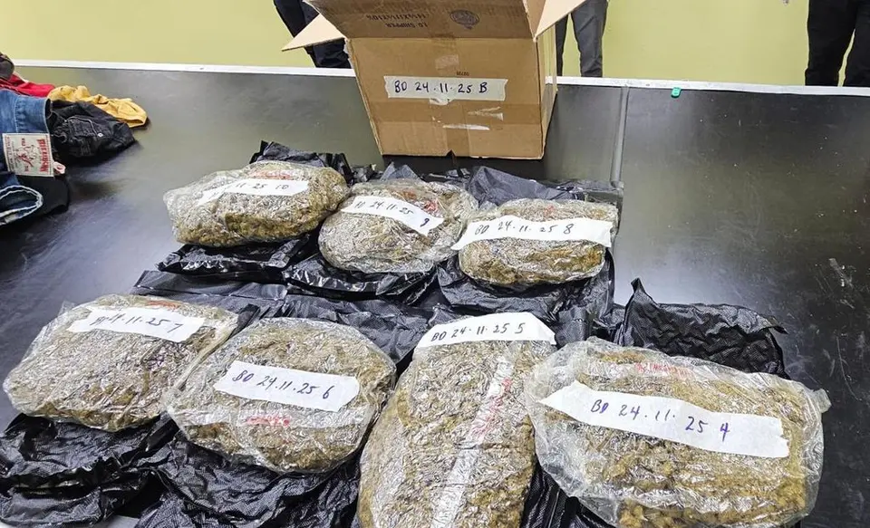Cannabis Worth $400,000 Found Hidden in Barrels at Port of Spain Port