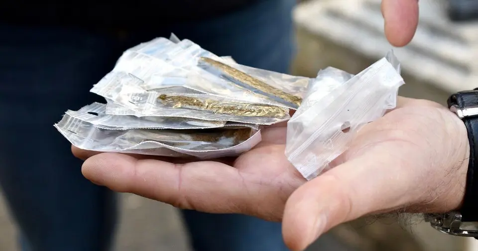 185 kilos de cannabis saisis : cinq hommes interpellés dans un trafic entre la Bretagne et la Martinique
