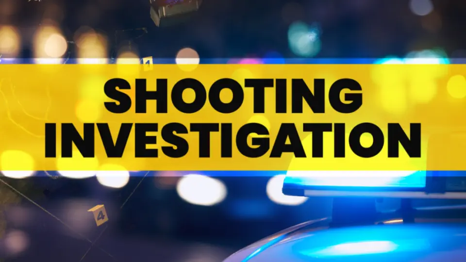 Shooting on Queen Elizabeth Highway Injures Man, Two Suspects Arrested