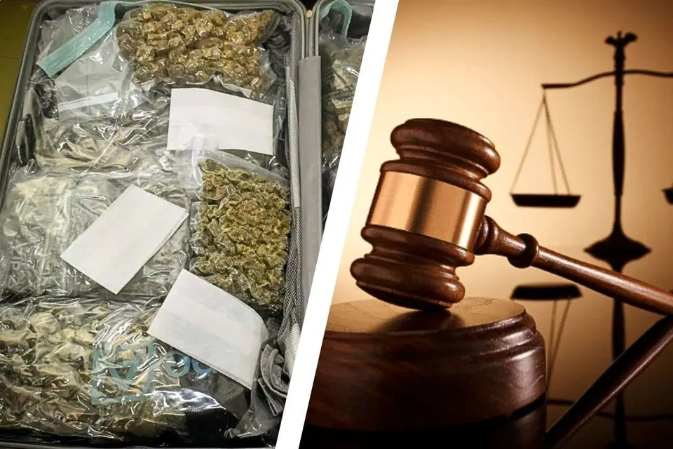 Second Canadian arrested for cannabis smuggling at V.C. Bird Airport in one month