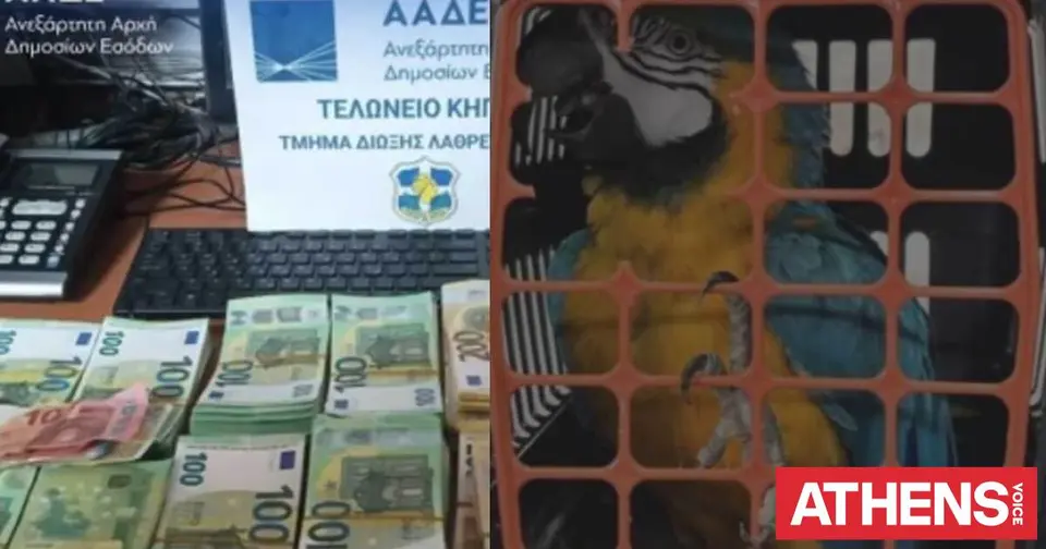 Customs Authority: Seizures of Millions of Euros, 528 Weapons and Drugs at Airports and Borders