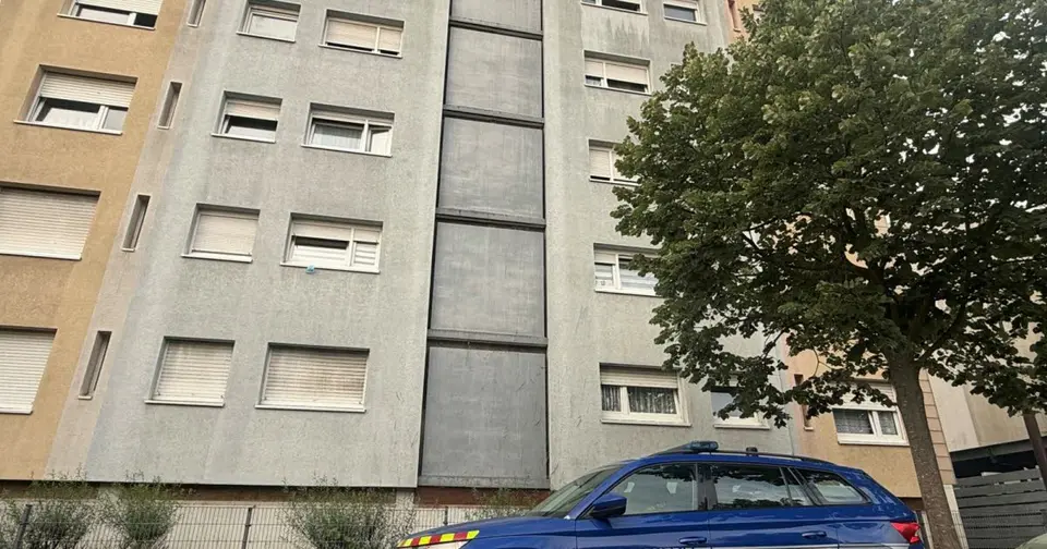 Trafic d'héroïne piloté depuis une prison : quatre interpellations dans le Grand Est