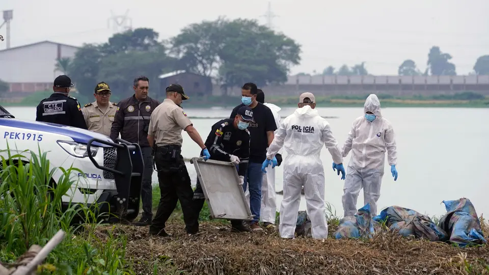 Eight bodies in bags found in Babahoyo, Ecuador, amid wave of violence