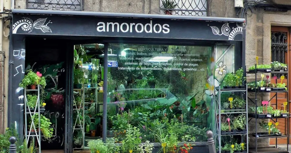 Red de narcotráfico usaba floristería en La Coruña como centro de distribución de droga