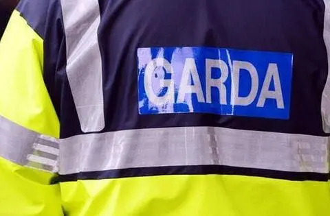Dublin man faces trial over death threat to garda at Abbeyleix station