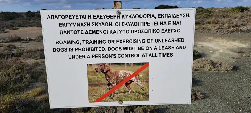 Drone patrols at British Bases to tackle illegal dog training