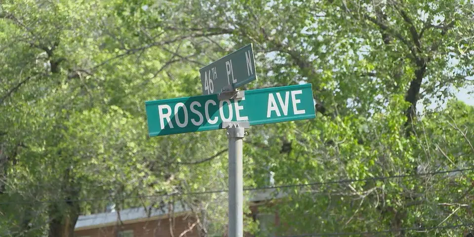 Man shot dead in Birmingham's Kingston neighbourhood, suspect arrested