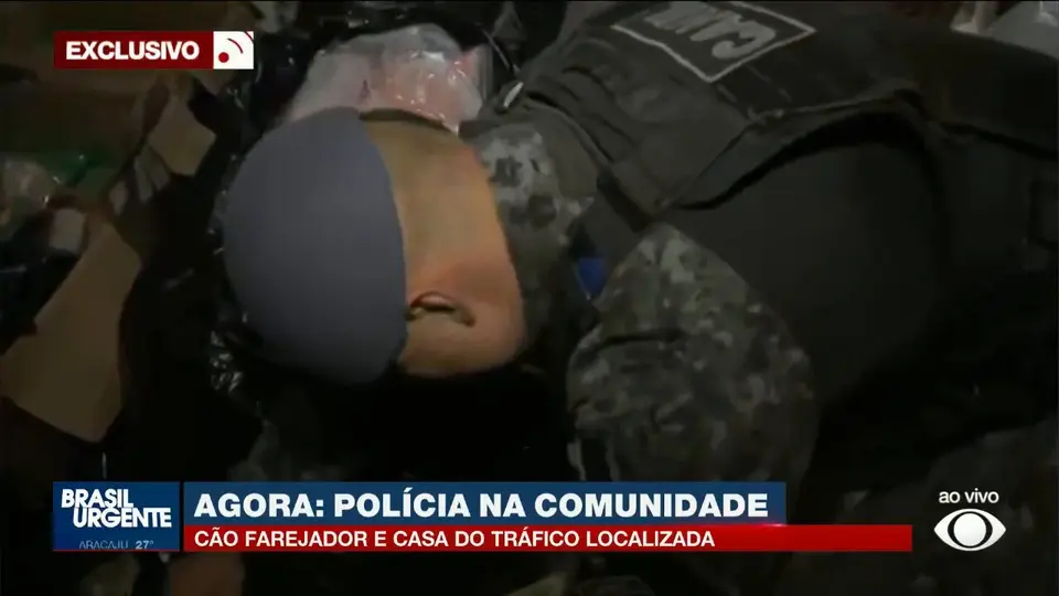 Cão farejador da PM localiza 'casa do tráfico' com mais de 150 kg de drogas