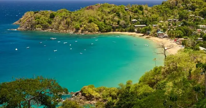American Tourist Christopher Brown Stabbed to Death in Tobago Village of Castara