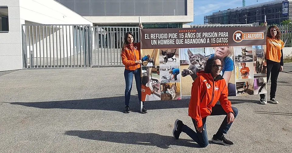 Un año de cárcel por abandonar 15 gatos en condiciones extremas en San Rafael