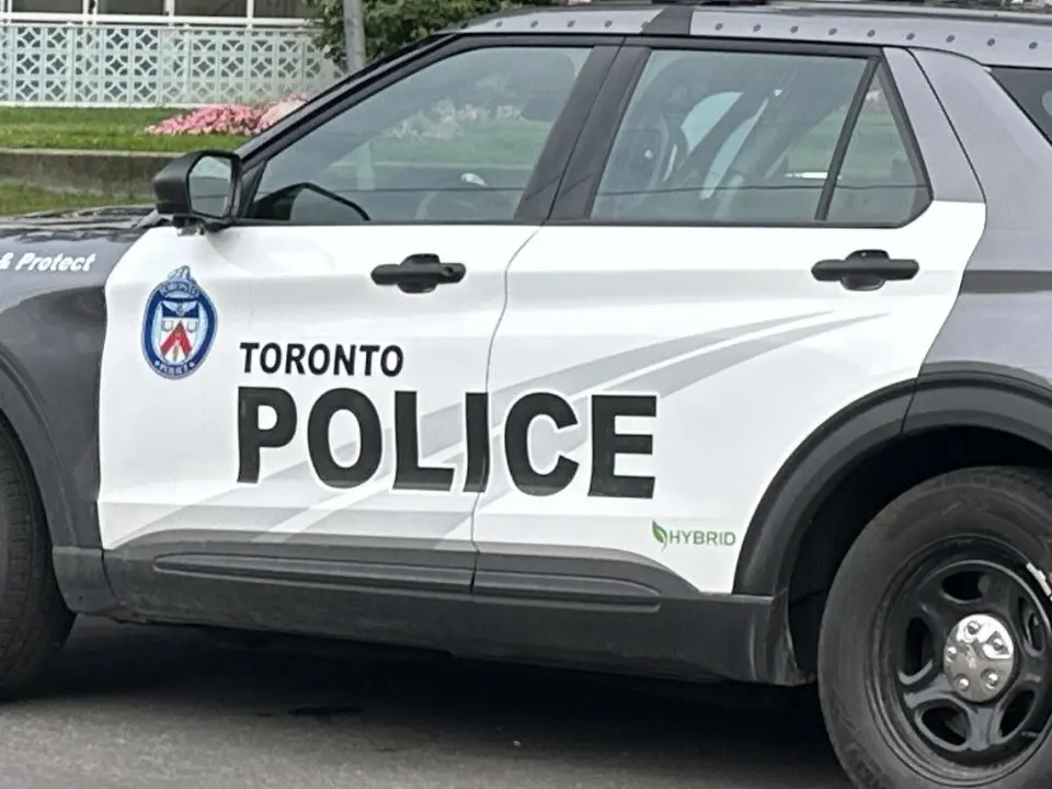 Stabbing and assault at Woodbine Beach, Toronto: suspects sought