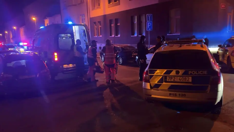 Plzeňský útočník půjde před soud za opilství, přestože zabil bratra