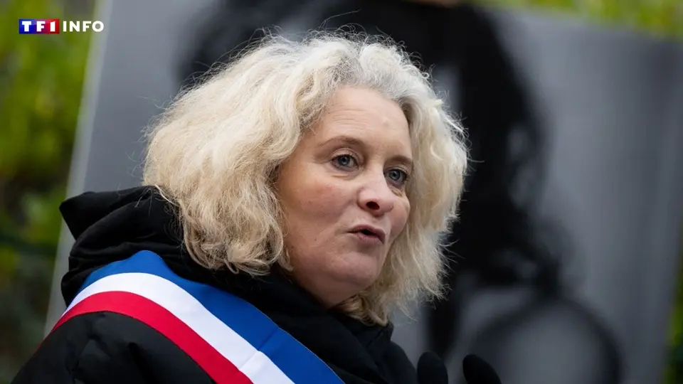 Maire du 10e arrondissement de Paris agressée par des militants d'extrême droite lors de la Nuit Blanche